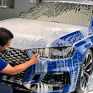 Lavagem Detalhada